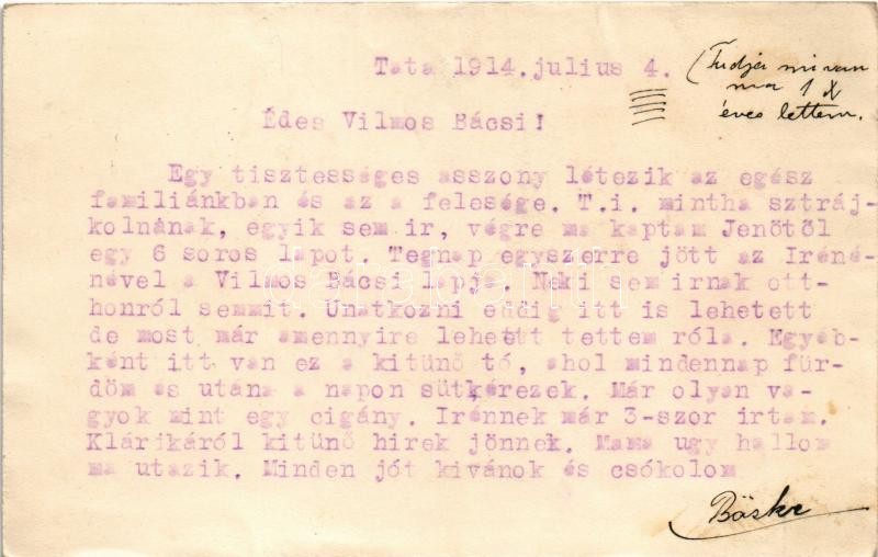 1914 Styria osztrák kerékpár reklámlap / Styria-Fahrrad Werke Joh. Puch & Comp, Graz / Austrian bicycle advertisement. litho (surface damage) - Image 2