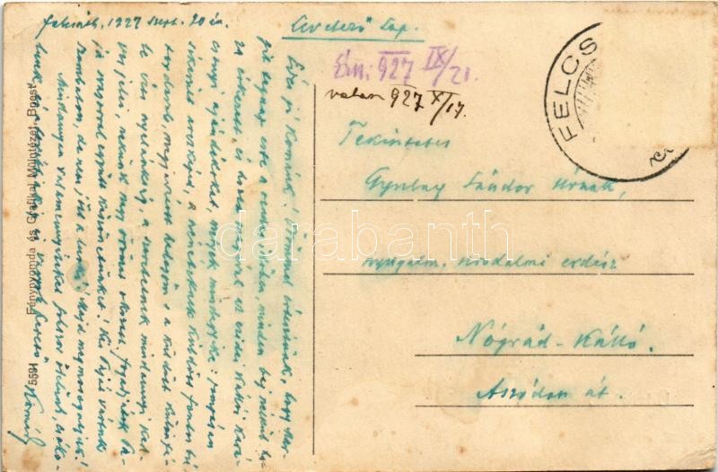 1927 Felcsút, községháza, Szemere kastély, hintó (EK) - Image 2