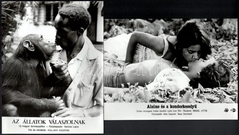 Csókot adnak, csókot kapnak a színészek szerepük szerint, 13 külföldi film egy-egy jelenete, 13 db vintage produkciós filmfotó, ezüstzselatinos fotópapíron, 18x24 cm - Image 3