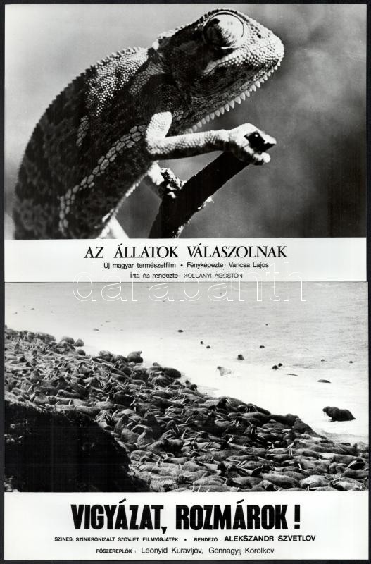 Különféle állatok, különféle filmekben, 13 db vintage produkciós filmfotó, ezüstzselatinos fotópapíron, 18x24 cm