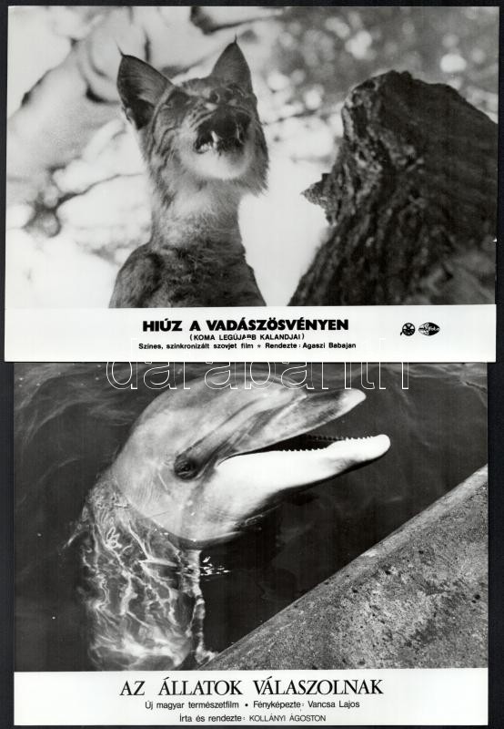 Különféle állatok, különféle filmekben, 13 db vintage produkciós filmfotó, ezüstzselatinos fotópapíron, 18x24 cm - Image 2