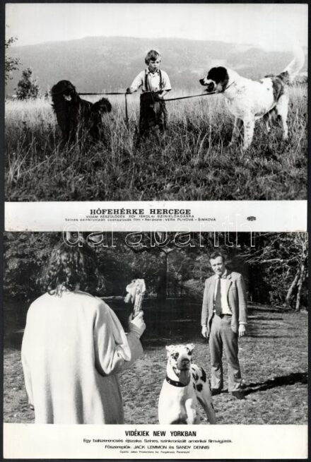 Kutya szereplők 13 külföldi film egy-egy jelenetében, 13 db vintage produkciós filmfotó, ezüstzselatinos fotópapíron, 18x24 cm