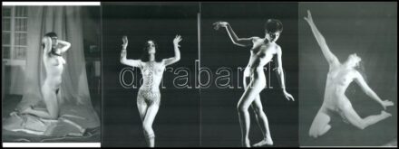 cca 1980 előtti akt felvételek különféle fotósok hagyatékából, ,,Mindenki másképp mutatja' c. vegyes összeállítás, 7 db mai nagyítás, 15x10 cm