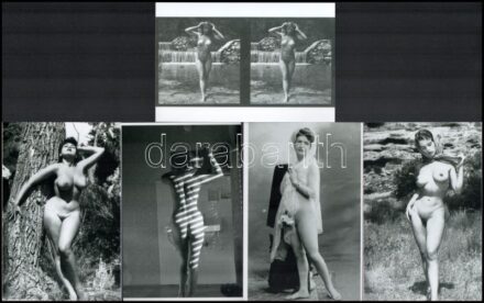 Régi felvételek, de bájosak, vegyes összeállítás akt fényképekből, 5 db mai nagyítás, 15x10 cm