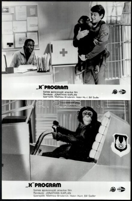 1987 ,,X program' című, tudományos-fantasztikus film jelenetei és szereplői, 4 db vintage produkciós filmfotó, ezüstzselatinos fotópapíron, 18x24 cm