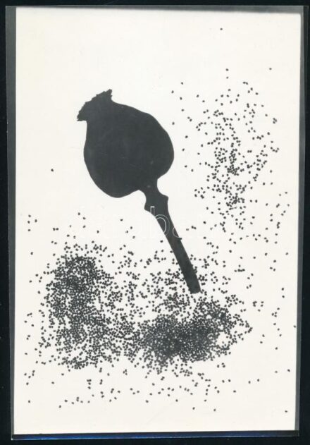 cca 1975 Mákos fotogram, Dr. Sevcsik Jenő (1899-1996) fényképész, szaktanár, szakíró fénykép gyűjteményéből 1 db jelzés nélküli fotó, ezüstzselatinos fotópapíron, 18x12,5 cm