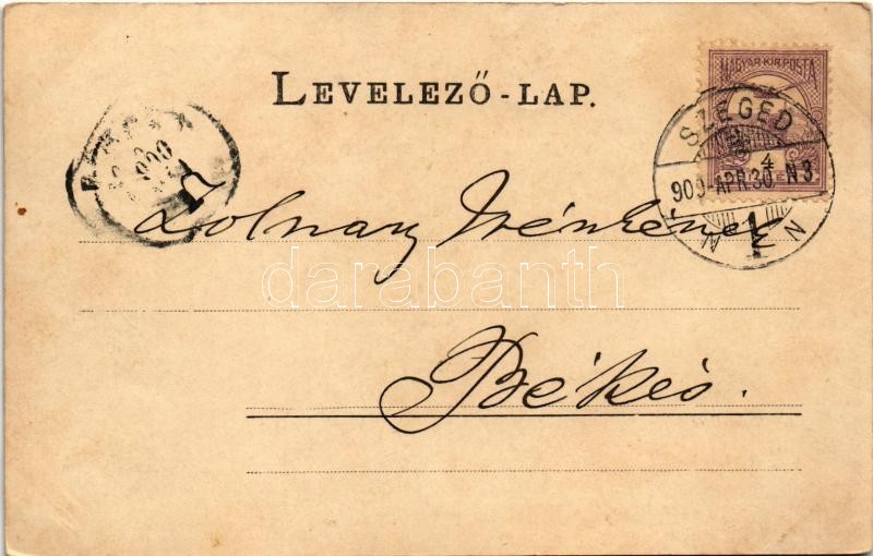 1900 Szeged, Klauzál tér, piac, gyógyszertár, Árvay Sándor és Schwab Mór üzlete, könyvnyomda - Image 2