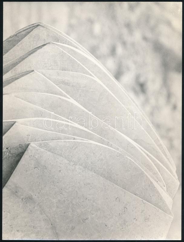 cca 1972 Tóth Imre (Székesfehérvár): ,,Tanulmány' című, feliratozott vintage fotóművészeti alkotása, amely High Key technikával készült, 18x24 cm