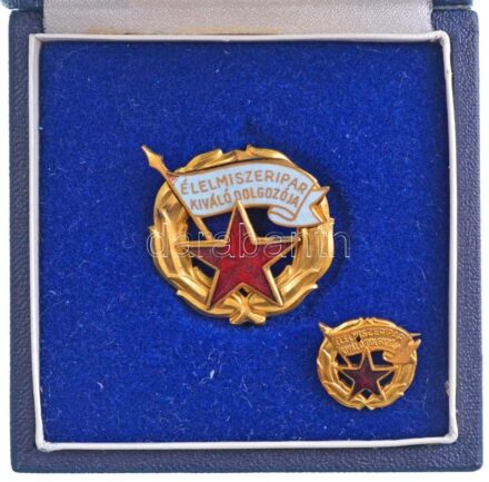 ~1960-1970. 'Élelmiszeripar Kiváló Dolgozója' aranyozott, zománcozott fém kitüntetés, miniatűrrel, nem saját tokban T:1-