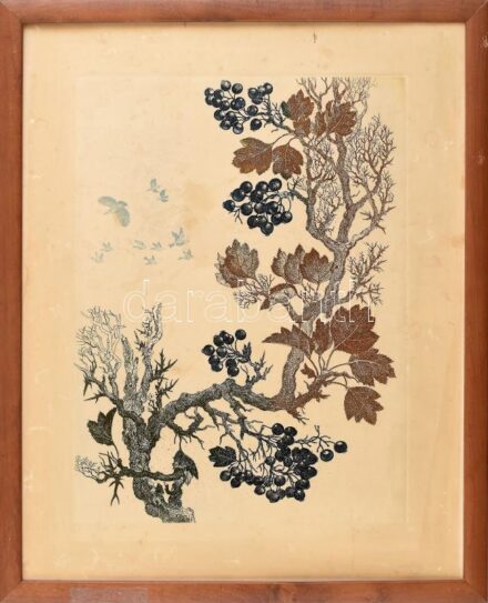 Tuka László (1924-2007): Őszi színek. Színes rézkarc, papír, jelzett, sérült, foltos. Fa keretben, 39×29 cm