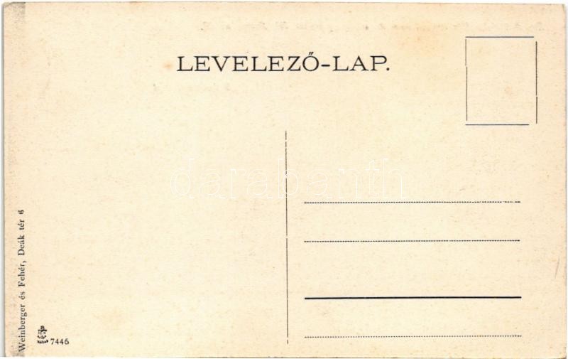 Budapest VII. Dr. Batizfalvy-féle szanatórium és vízgyógyintézet, oldalhomlokzat. Aréna út 82. (ma Dózsa György út) Weinberger és Fehér kiadása - Image 2