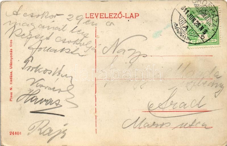 1911 Orosháza, Nyári színkör, üzlet. Pless N. kiadása (EK) - Image 2