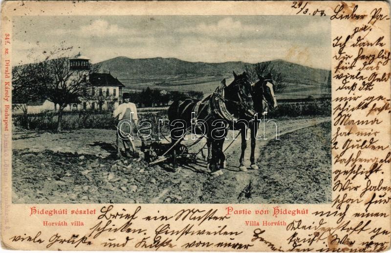 1904 Budapest II. Pesthidegkút, Hidegkúti részlet, szántás lovas kettes ekével. Divald Károly 342. (EK)