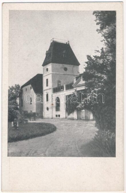 Szomor (Tatabánya), Vásárhelyi kastély. Pápai Ernő műintézete