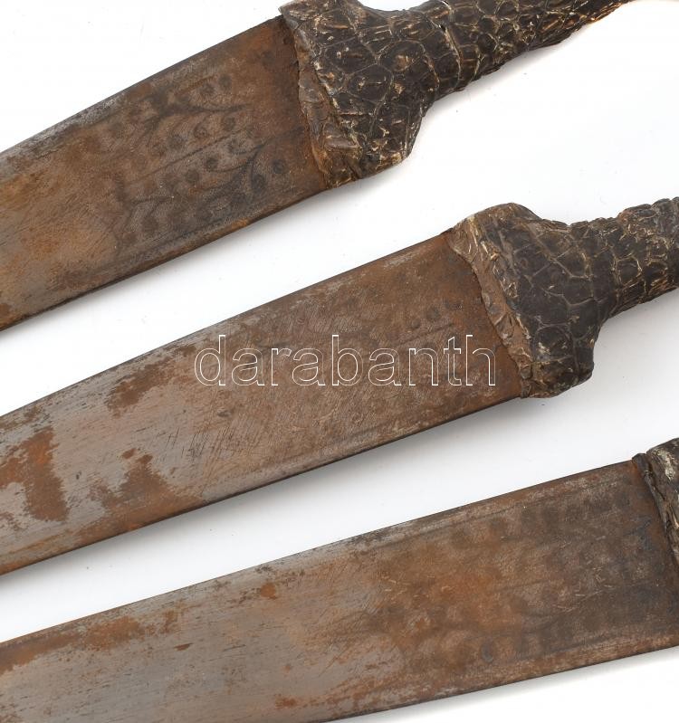 Egyiptomi régi tőr, 3db egy tartóban, krokodilbőr, teljes h: 40cm - Image 2
