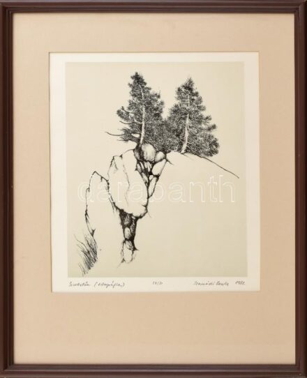 Hernádi Paula (1947-): Szirttetőn. Litográfia, papír, jelzett, számozott (28/30). 33x25 cm. Üvegezett fakeretben.