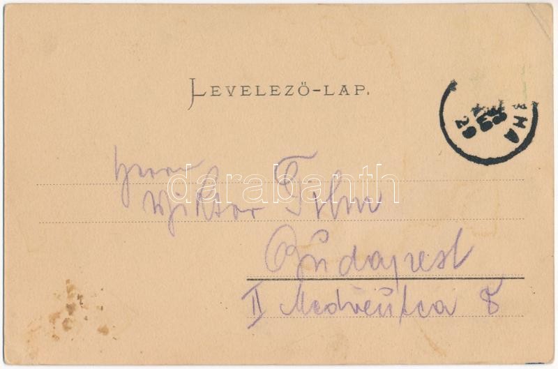 1903 Konyha, Kuchl, Kuchel, Kuchyna (Malacka); Fő tér ökörszekérrel. Wiesner Alfréd kiadása / main square wpith oxen cart (EK) - Image 2