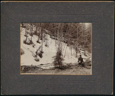 cca 1910 Szkalka, Vágsziklás (Skalka nad Váhom, Felvidék), út a falu felé, hátoldalon feliratozott fotó, 8×11 cm