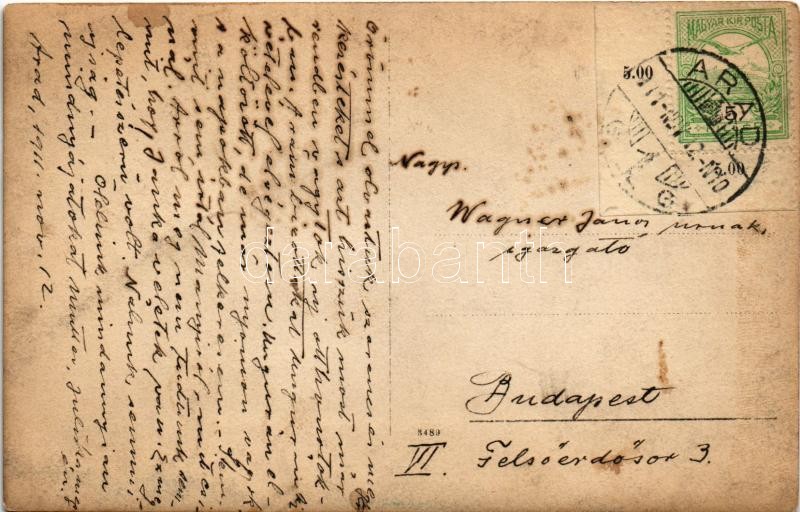 1911 Arad, Újaradi Gróf Károlyi Gyula híd / Podul Traian / bridge. photo (fl) - Image 2