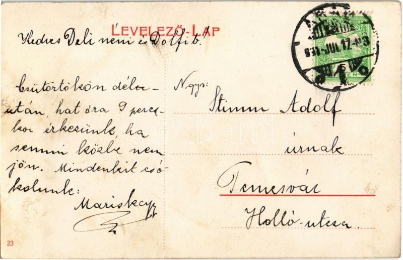 Arad, Darányi János (város főorvosa) emlékszobor a Baross parkban / statue of the town's head doctor in the park - Image 2