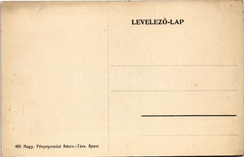 Micske, Misca; A Demjén család lakóháza, kastély / villa, castle - Image 2