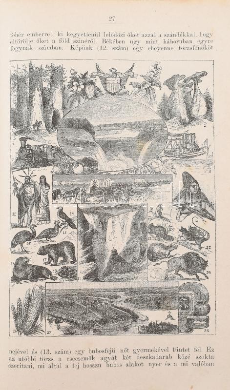 1886 Hasznos mulattató a mindkét nembeli ifjuság számára. Képekkel. Szerk.: Dolinay Gyula. XIV.-ik évi folyam. 1886. Első félév. Bp., 1886., Pallas-ny., VIII+380+4 p. Szövegközti és egészoldalas illusztrációkkal. Átkötött - Image 2