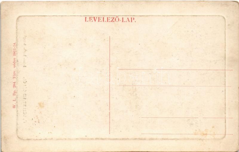 Vinga, Római katolikus templom / Roman Catholic church. W.L. Bp. 204. 1911-14. - Image 2