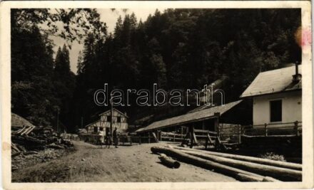 1944 Radnaborberek, Borberek-fürdő, Valea Vinului; Mosómű, vízmű. Szenkovits Gerő kiadása / water plant, waterworks (fl)