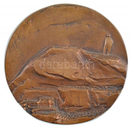 DN 'Ember a hegyen' egyoldalas, öntött Br emlékplakett (110mm) T:2