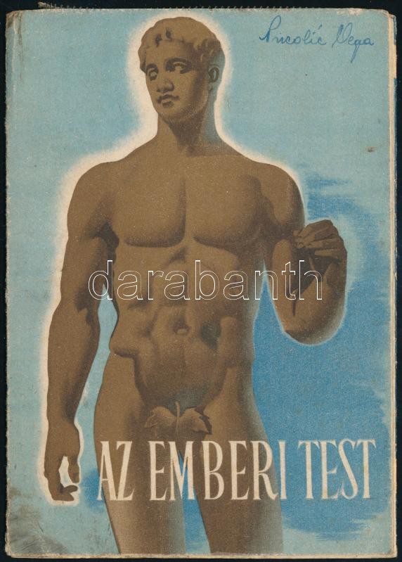 cca 1940 Az emberi test, Bayer gyógyszergyár képes ismertető prospektusa, Bp., Klösz-ny., kissé kopott, foltos