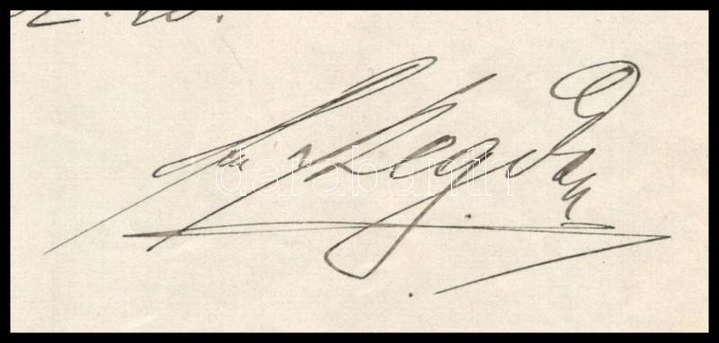 1917 Juhász Gyula (1883-1937) író, költő szegedi magán ideggyógyintézeti anamnézise, melyben korábbi öngyilkossági kísérleteinek részletes leírása is megtalálható 2 beírt oldal, mely ideggyógyintézete utalásával zárul. - Image 3