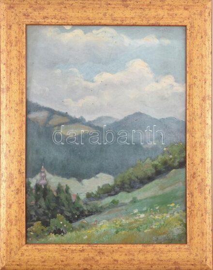 Daffinger Hanna (1883-?), 1909-ben a nagybányai szabadiskolában tanult: Hegyvidéki táj. Olaj, karton. Jelzett. Dekoratív fakeretben. 33x25 cm.