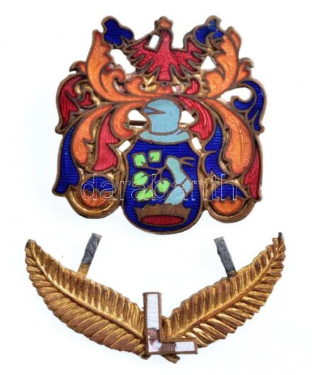 DN Zománcozott Br címeres jelvény, pajzsban korona és ágat tartó páncélos kar, felette sisak, legfelül koronás sas, letörve leveles 'L' betű (45x40mm) T:2- zománchiba