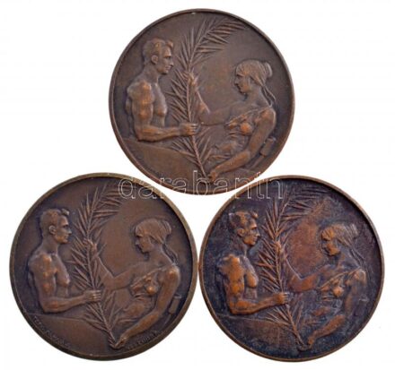 Damkó József (1872-1955) / Exner Károly (1850-1919) DN 'Magyar Országos Torna Szövetség' kétoldalas Br díjérem (3x) (30mm) T:2 patina, ph