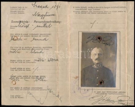 1919 Bp., fényképes személyazonossági igazoló jegy Jókay László pénzügyi főbiztos részére