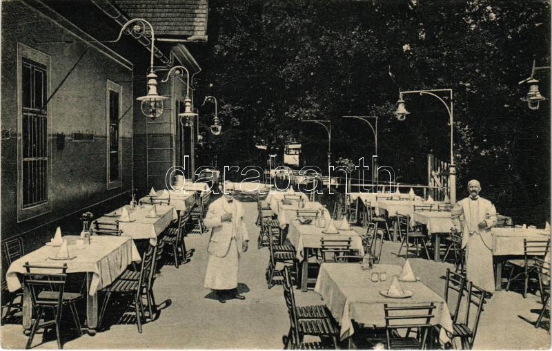 1915 Budapest II. Hűvösvölgy, Schüller vendéglő kertje. Hidegkúti út 84. (EK)