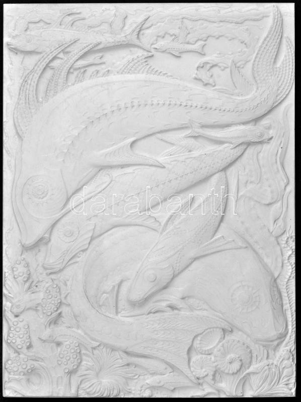 Göröntsér Greff Lajos (1888-1976): Tengeri halak. Gipsz negatív forma. Jelzett. 19x26cm