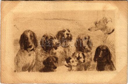 Dogs (fl)