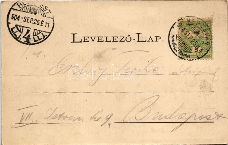 1904 Kaposvár, Korona utca, Korona szálló, üzletek. Szabó Lipót kiadása - Image 2