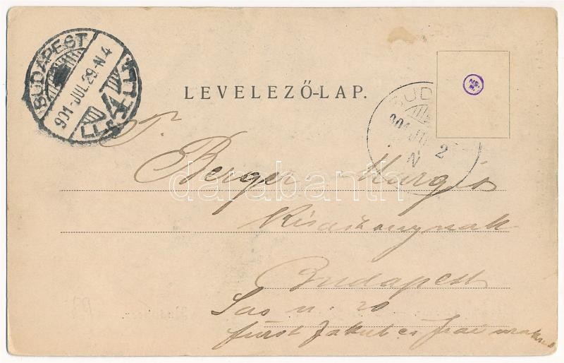 1901 Budakeszi, Grandits kávéház kertje. Stern Jakab kiadása - Image 2