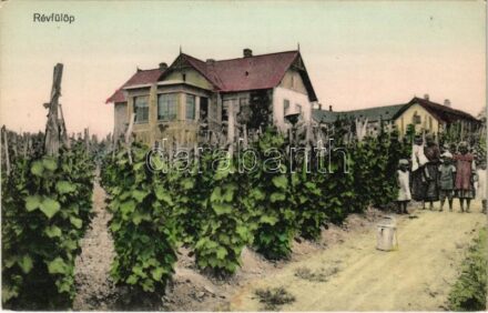 Révfülöp, Tóth villa, szőlőskert. Csényi Istvánné kiadása