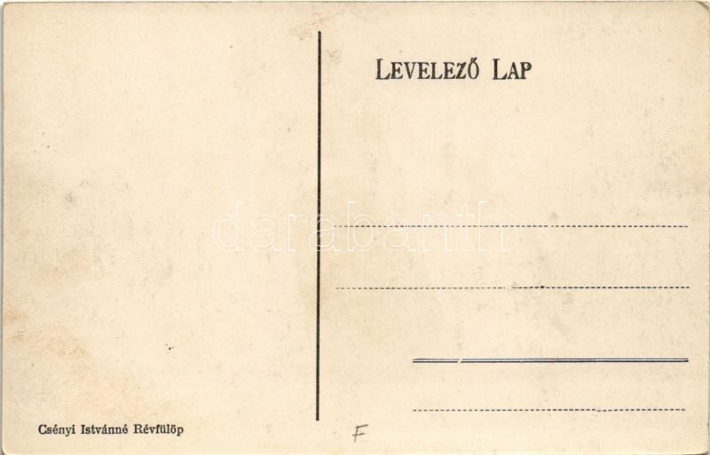 Révfülöp, Tóth villa, szőlőskert. Csényi Istvánné kiadása - Image 2