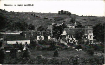Lugos, Lugoj; Szőlőgazdaság és kastély. Naschitz László cs. és kir. fhg. udv. kamara fényképész / vineyards, castle