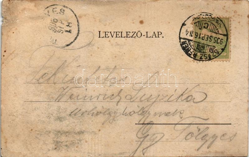 1905 Alsóidecs, Ideciu de Jos, Salzbad-Nieder-Eidisch; Villa Kosch (fl) - Image 2