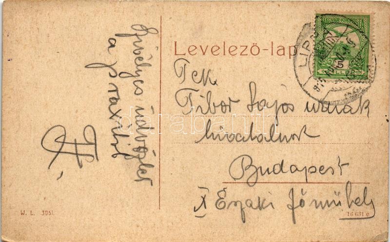 1910 Lippa, Lipova; Kir. Járásbíróság. W.L. 3061. / Bezirksgericht / county court (EK) - Image 2