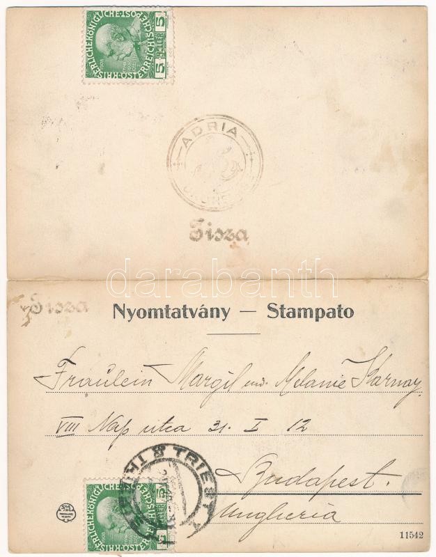 1910 Fiume, Rijeka; Via Ciotta, Scuola cittadina, Fotografia Carposio / utca, iskola. Két részes kinyitható panorámalap / street, school. 2-tiled folding panoramacard (EK) - Image 2