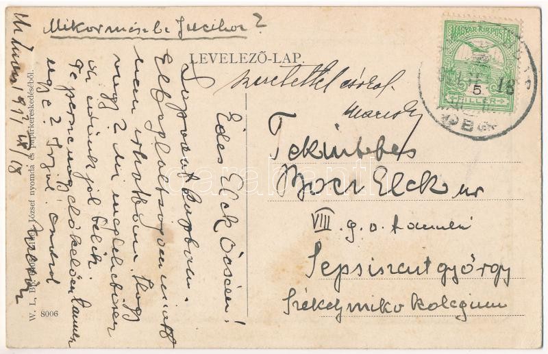 1911 Marosludas, Ludosul de Mures, Ludus; Kertöntözés turbina hajtással. W.L. Bp. 6405. Glück József kiadása 8006. / Garden irrigation with turbine drive, watering (EK) - Image 2