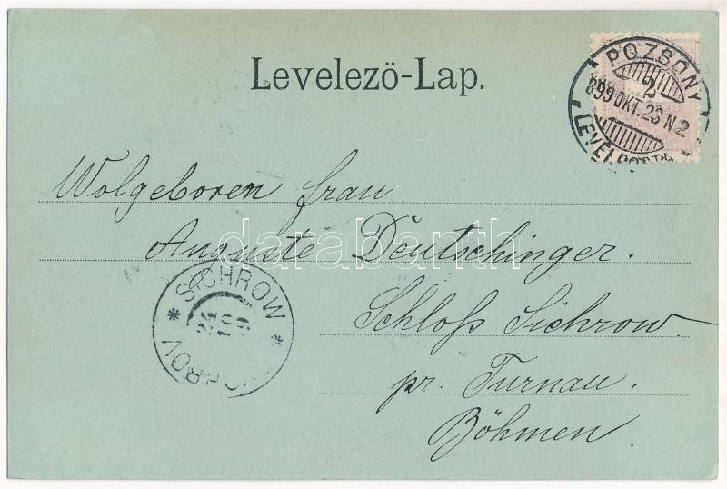 1899 (Vorläufer) Pozsony, Pressburg, Bratislava; árvíz 1899. szeptember havában / Hochwasser / flood - Image 2
