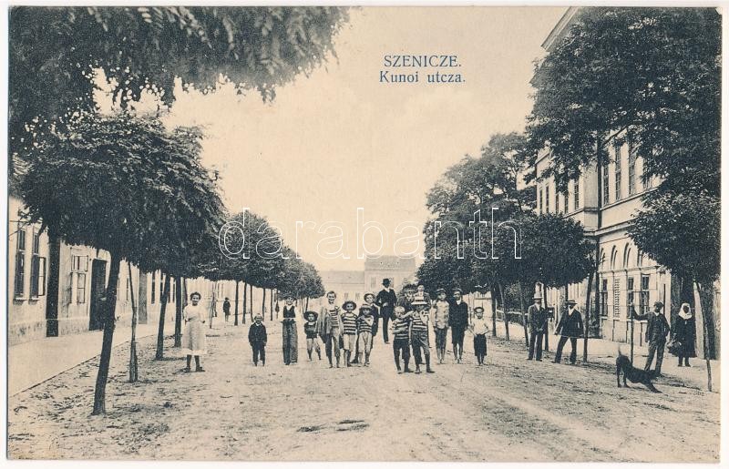 1916 Szenice, Szenicz, Senitz, Senica; Kunoi utca / street (fa)