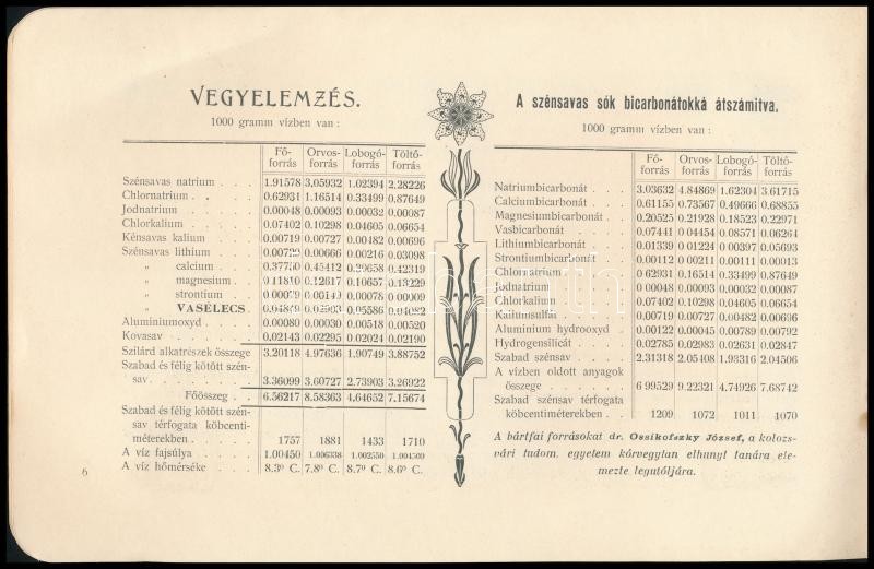 cca 1900 Bártfa gyógyfürdő ismertető füzete, szecessziós illusztrációkkal, 10p - Image 2
